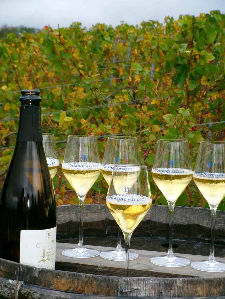 Champagne vineyards on the hillsides around Épernay